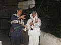 atividade no galo