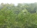 2008台風４号