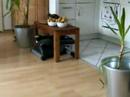 ... und t�glich gr��t das Eichh�rnchen