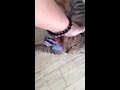 Click here to watch this video 朝の挨拶
