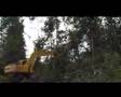 Sawit Berdarah 1 | Bloody Palm Oil 1