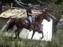 Sincero H.B (Herdade Cadilac x Frida H.B)