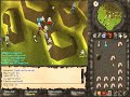 Distruction of the wilderness part 1