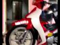 videos de Musim Buah Belia 2, Sg. Pjg, Sabak Bernam