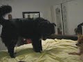 Xena\