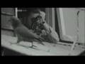 Vid�o de Gerald Durrell