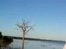 Nic, Paps, and Ollie work out in Chobe, Botswana