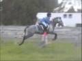videos de Ash & Tommy. Cross Country.
