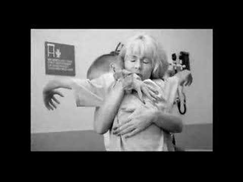 A Mothers Journey - 2007 Pulitzer ...