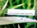 Stue Hackintosh Stue Hackintosh