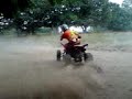 bashan 250s
