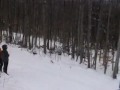 Presque Isle Eastern Cup Opener - Holderness Nordic Presque Isle Eastern Cup Opener - Holderness Nordic