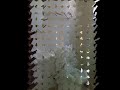 Click here to watch this video Malaysia Property For Sale - Semi-D Bandar Kinrara 2,Puchong..wmv