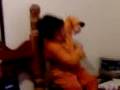 videos de 27-11-08 1948