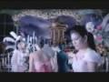 HAPLOS MTV - SHAMROCK