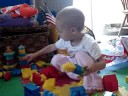 Wild Time With Building Blocks