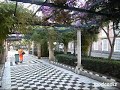 Cádiz - Alameda Apodaca 2