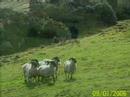 Ring of Kerry Part 1