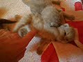 Playing with my finger!