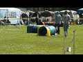 Christine Burggraf mit Wilma, Lechfeld, 19.05.2012, Jumping