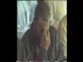 mourattile maghrebin mourattile maghrebin