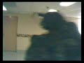 soldiers killing the enemy inside a basement soldiers killing the enemy inside a basement