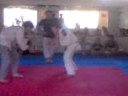 torneo jiujitsu yop