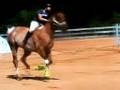 Running Off Bareback First Time on My New Horse