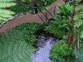Tropical Garden Paradise