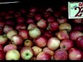 alimenta��o saud�vel