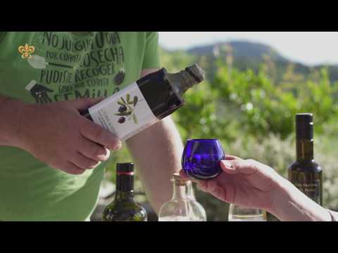 Olive Oil Experience