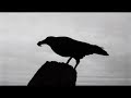 Dark haunting violin : the ghost song