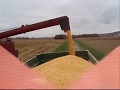 corn harvest in gers 2008