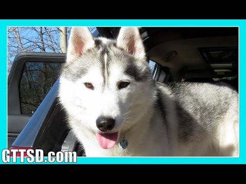 how to be funny on camera