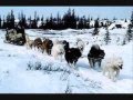 videos de Il popolo degli Inuit