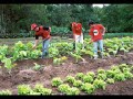 SEM TERRA - FIGHT by the EARTH (MST-Brazil) - M.Mafra