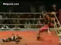 ostion lucha libre
