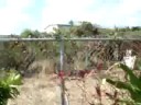 Paintball 3