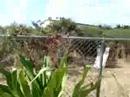 Paintball 3