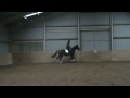 Treacle