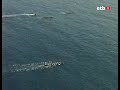 \"ORIO\" Zarauzko Estropada 2006 \"ORIO\" Zarauzko Estropada 2006