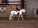 Ronde�o KDW