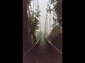 Space Coast - Vibe A.M. (Social Disco Club remix ...