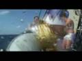 Volvo Ocean Race 2008-09: Equator ritual onboard Delta Lloyd