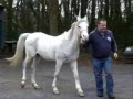 Ildra Competitive Trail Ride at Florence Court