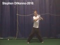 Stephen DiNanno-2010-Hitting