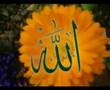M�ziksiz ilahiler 63   Allah yolu tektir