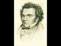 Neville Marriner conducts Schubert Symphony No. 5 in B flat major, D. 485 - 2. Andante con moto
