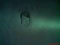 Riesgo De Contagio Cuando Odio Sonreir Official Music Video and Lyrics