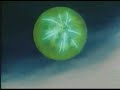 evanecence AMV dragon ball